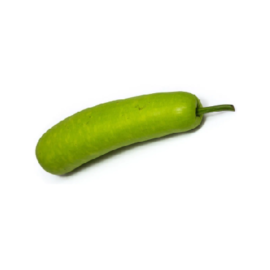 Small Bottle Gourd 1pc