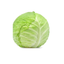 Small Cabbage 1pc