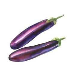 Long Brinjal Purple 500g