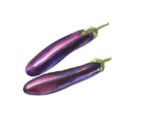 Long Brinjal Purple 500g