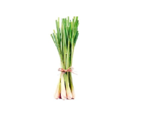 Lemon Grass -100g