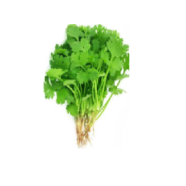 Coriander Leaves -100g