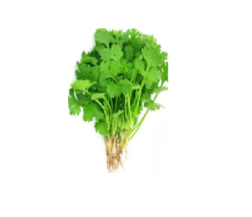 Coriander Leaves -100g