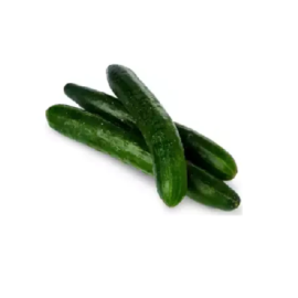 Japanese Cucumber 3pcs