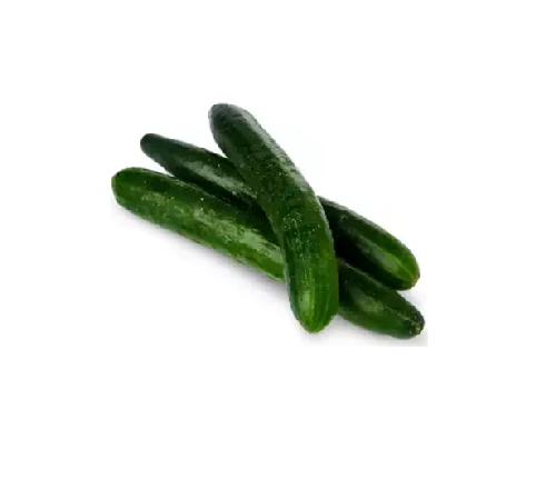 Japanese Cucumber 3pcs