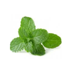 Mint Leaves 200g